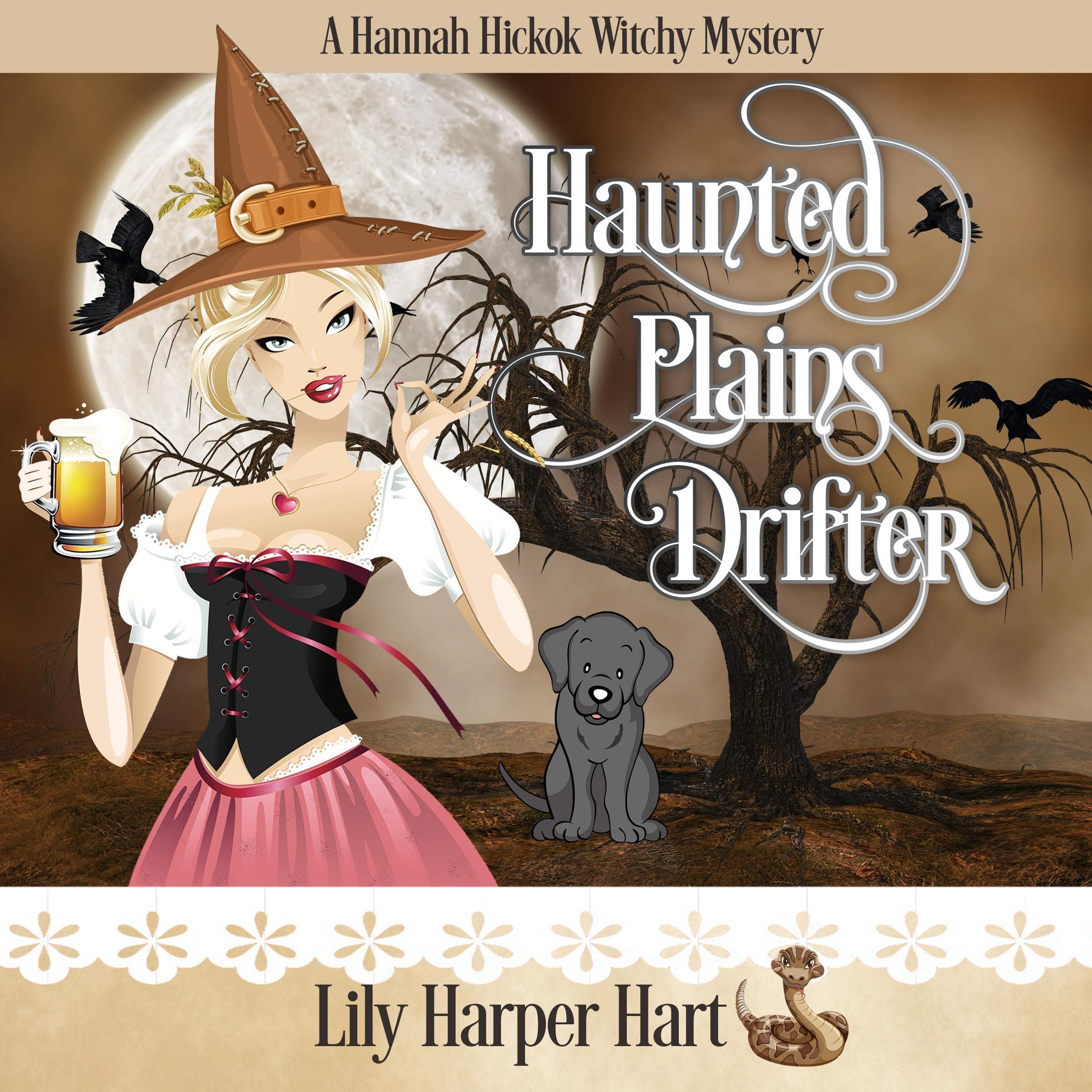 Cover art for Haunted Plains Drifter