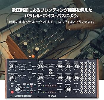 Amazon.co.jp: MOOG Labyrinth セミモジュラー・パラレル