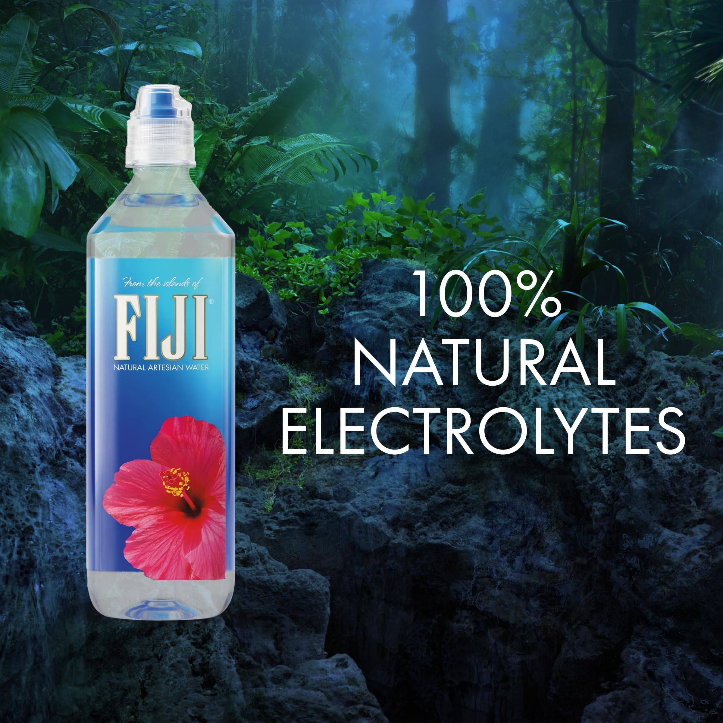 Amazon.com: FIJI Artesian Bottled Water 700mL / 23.7 Fl Ounce