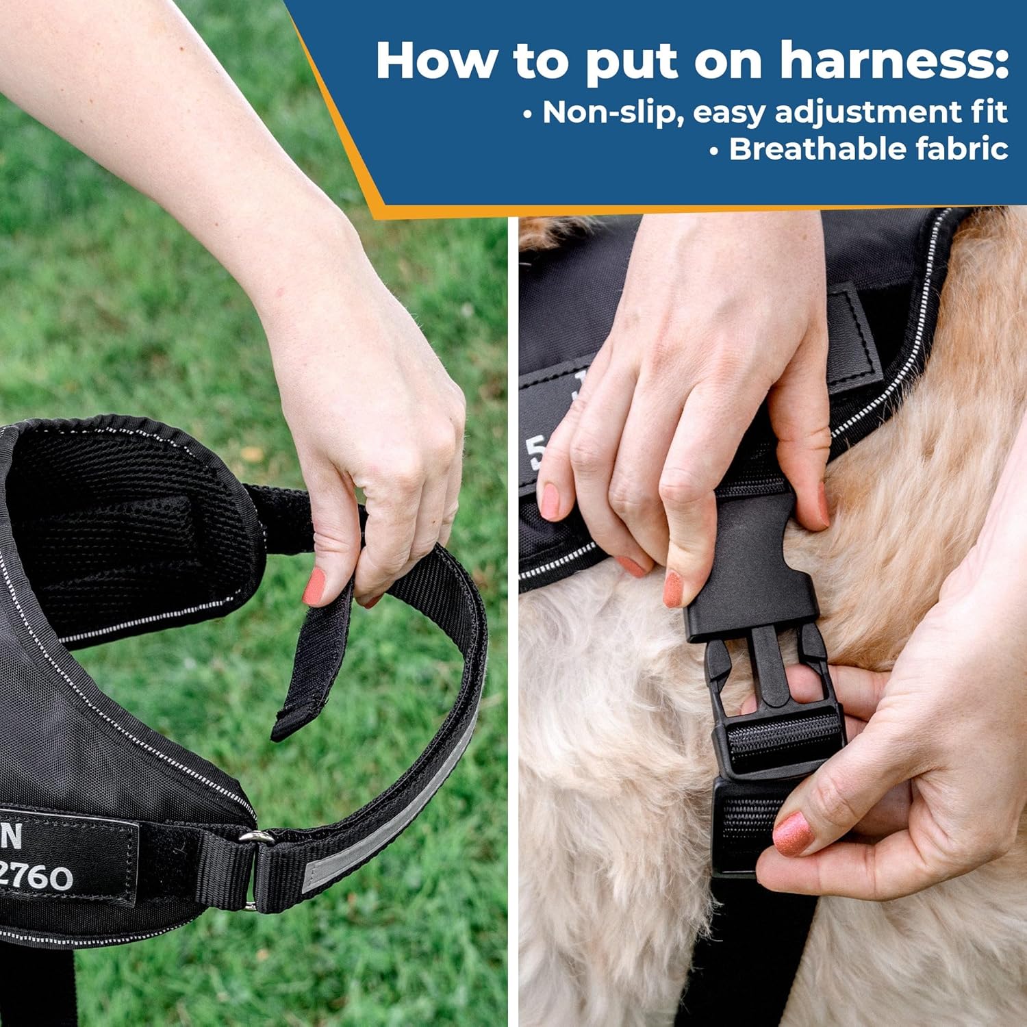 GoTags No-Pull Dog Harness with Custom Name and Phone Number, Personalized for Large, Medium and Small Dogs, Service Vest No Tugging, Pulling, or Choking for Training (Black, XL)