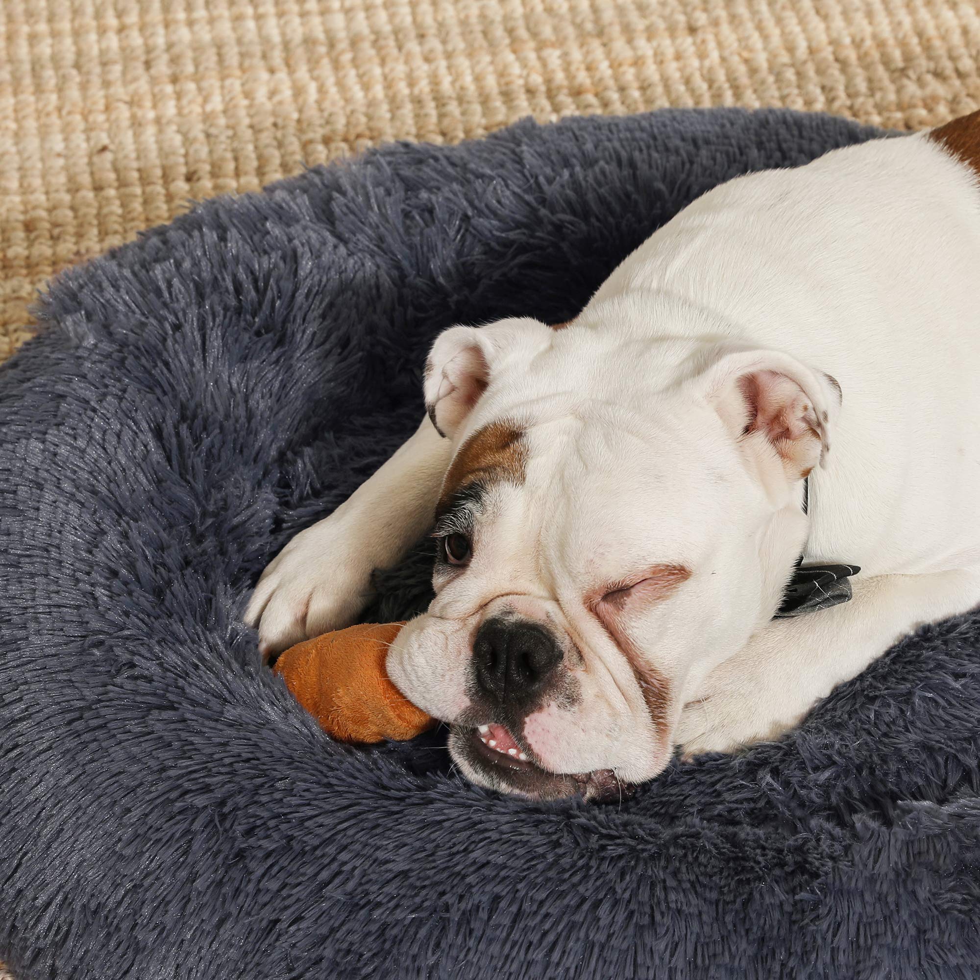 Feandrea Cuccia Cane Interno, Cuccia per Cani, Lettino per Animali Domestici a Ciambella, Cuscino Sfoderabile e Lavabile, Tappeto di Peluche, Diametro 80 cm, Grigio Scuro PGW040G02