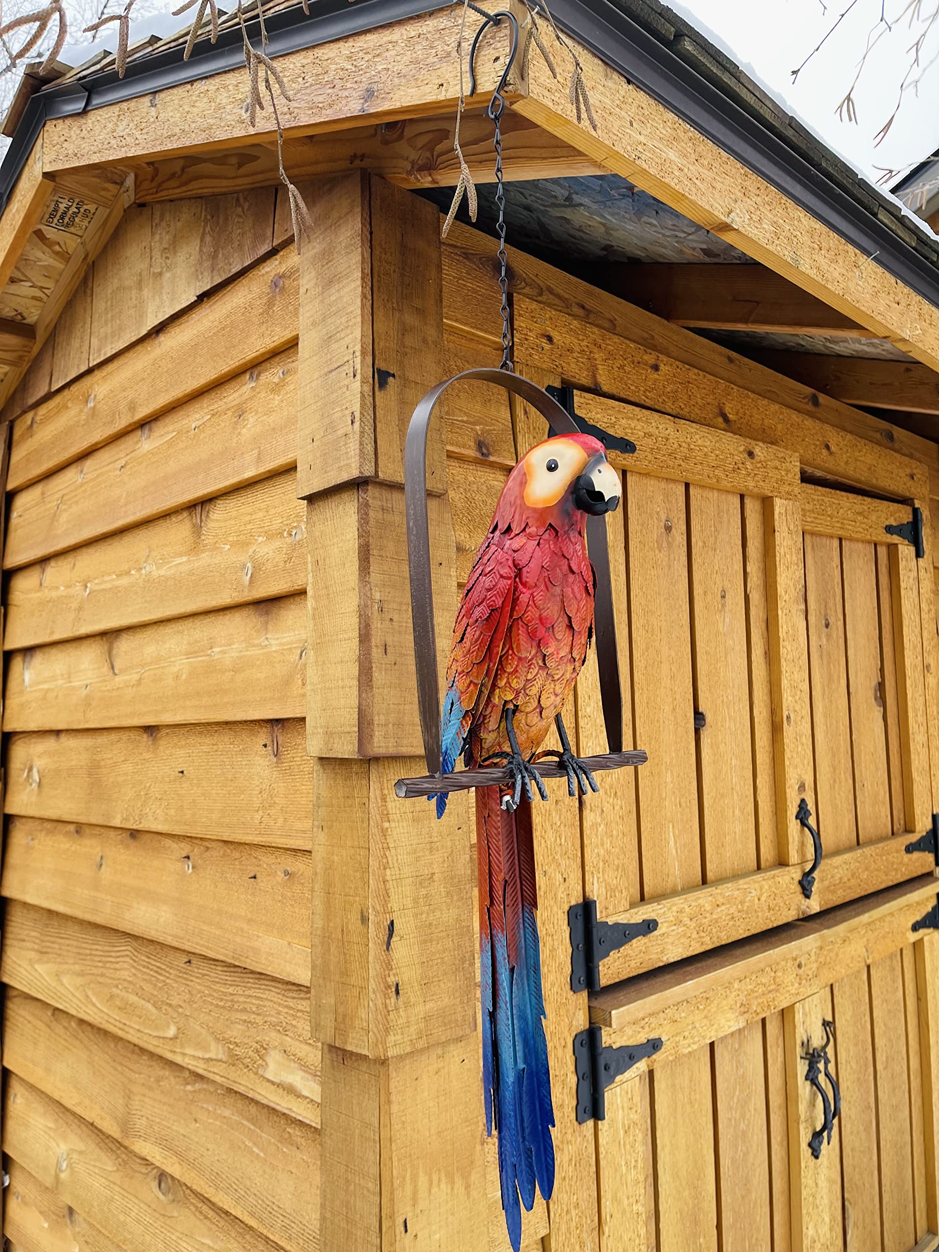 Amazon.com: Hanging Whimsical Rustic Metal Swinging Macaw Parrot