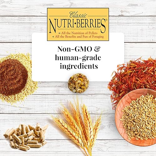 Miniatura 6 de Lafeber Classic Nutri-Berries - Alimento para pájaros para mascotas fabricado con ingredientes sin OMG y de grado humano para guacamayos y cacatúas