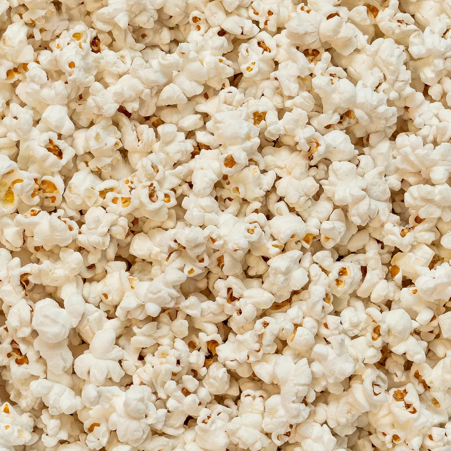 Colby Ridge 4 Gallon Gourmet Craft Popped Gluten Free Popcorn Snack Sized Large 2-Pack Pouches (Fluffy White and Cheddar Cheese)