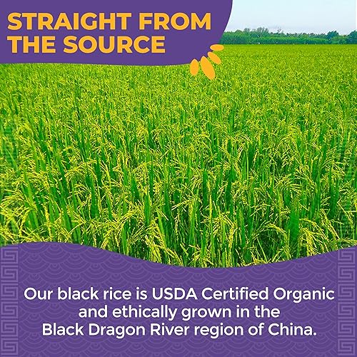Miniatura 4 de Lotus Foods Organic Forbidden Rice - Arroz negro orgánico, arroz morado, arroz negro a granel, arroz tradicional sin gluten, grano entero, sin OMG,