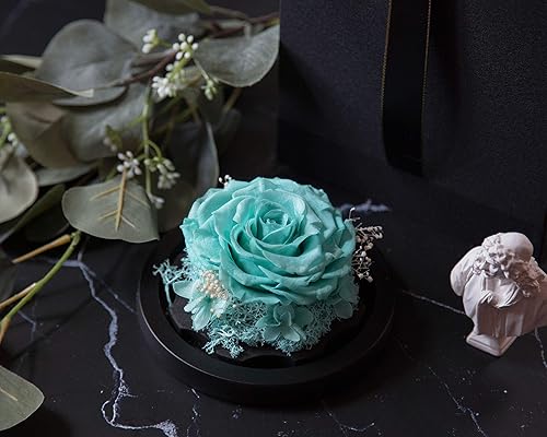 Vista 10 de DuHouse Forever White Roses - Caja de flores reales preservadas para San Valentín, cumpleaños, aniversario, día de la madre, Navidad (blanco)