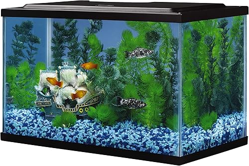Miniatura 3 de Tetra Acuario de vidrio 5.5 galones, pecera rectangular