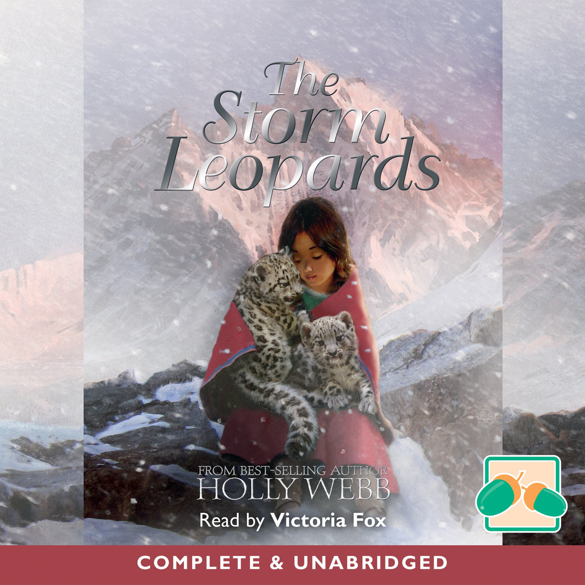 Cover art for The Storm Leopards