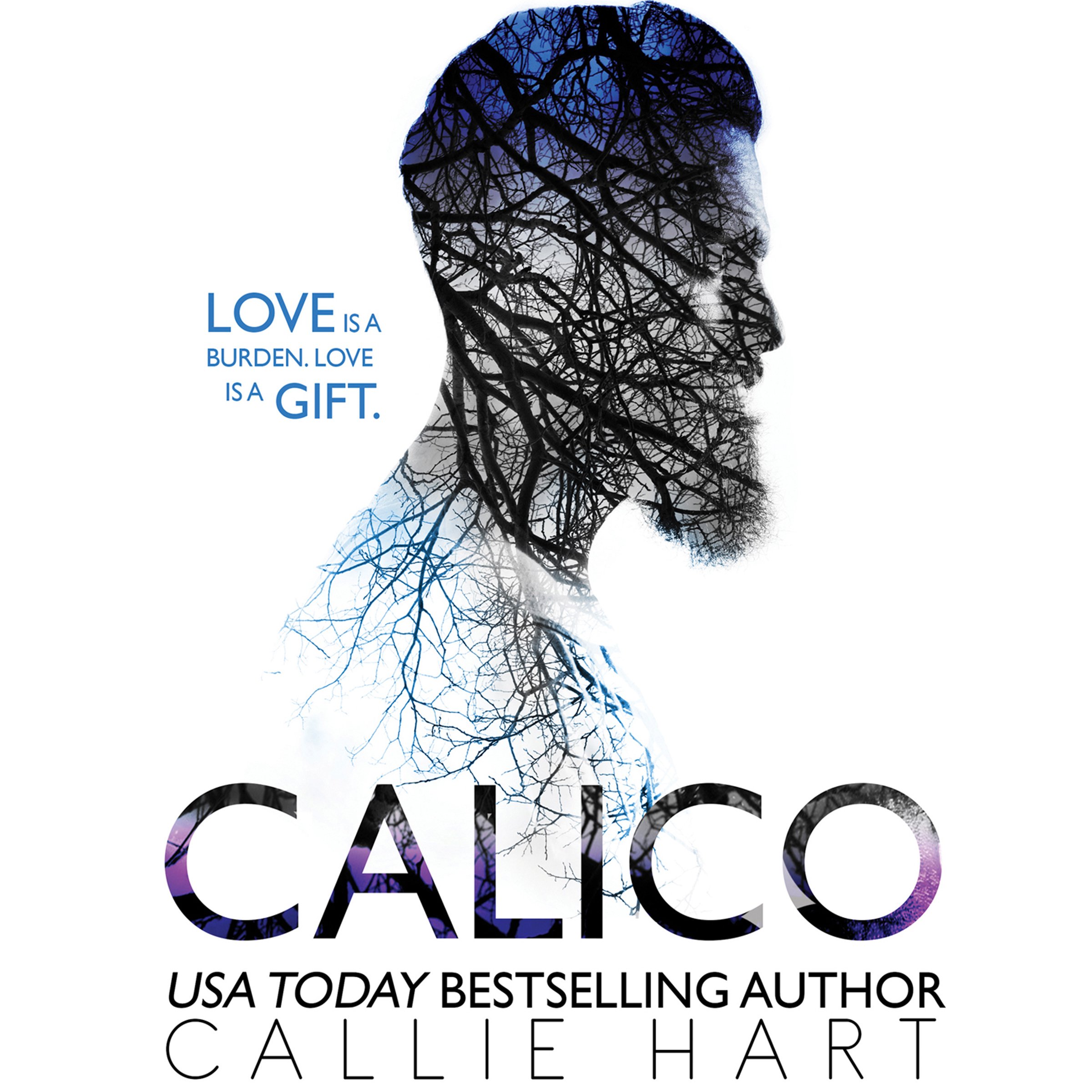 Cover art for Calico
