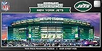 Vista 3 de MasterPieces NFL - Rompecabezas panorámico de 1000 piezas, diseño panorámico del estadio Buffalo Bills de 13 x 39 pulgadas