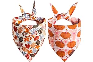 Fall Dog Bandanas: Reversible Halloween and Thanksgiving Bandanas for Medium and Large Dogs