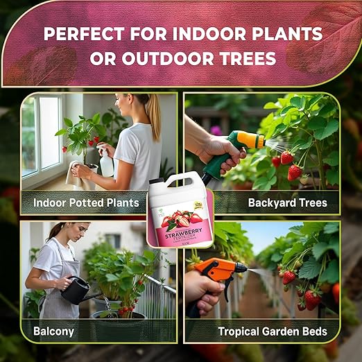 Leaves and Soul Fertilizante Líquido Profesional para Fresas 32 oz miniatura 5
