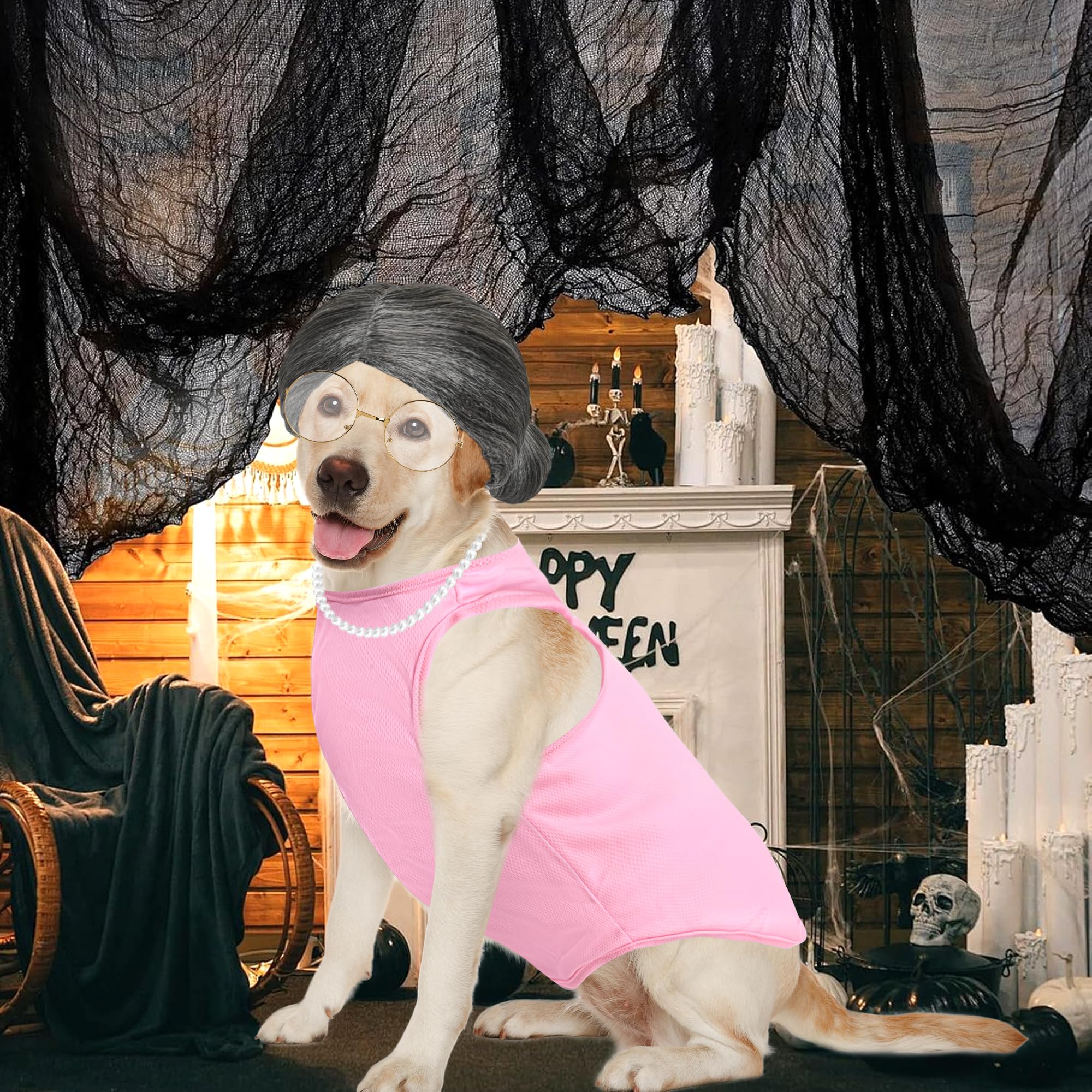 Amazon.com : 4-Piece Old Lady Dog Costume Set - Grandma Dog Costume with  Pink Dress, Glasses, Wig & Necklace for Halloween Pet Party Cosplay : Pet  Supplies
