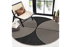 Lahome Modern Rainbow Round Rug