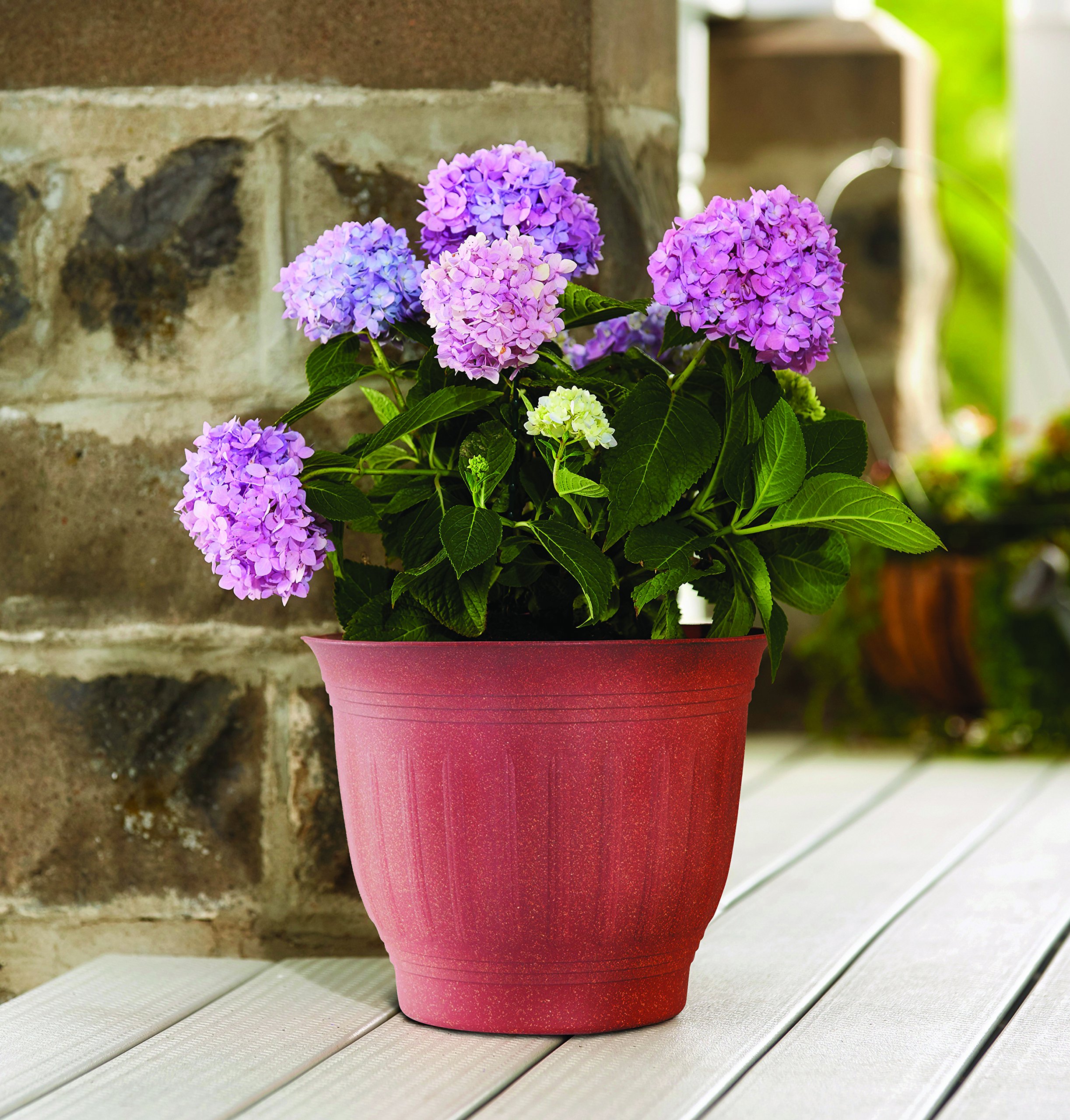 Amazon.com : bloem 100533218 Wood Resin Planter, White : Patio