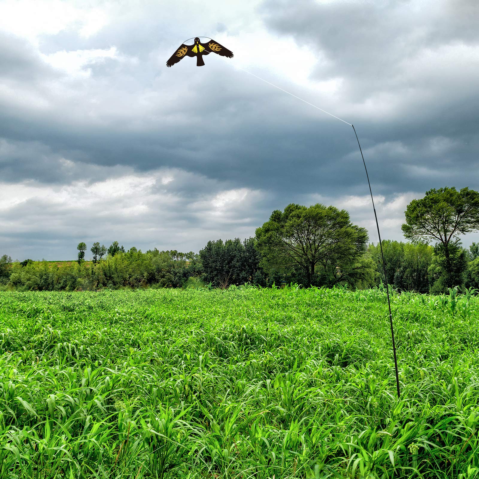 Bird Scarer Flying Kite Crops Farm Protector Bird Hawk mit 4 m Pole