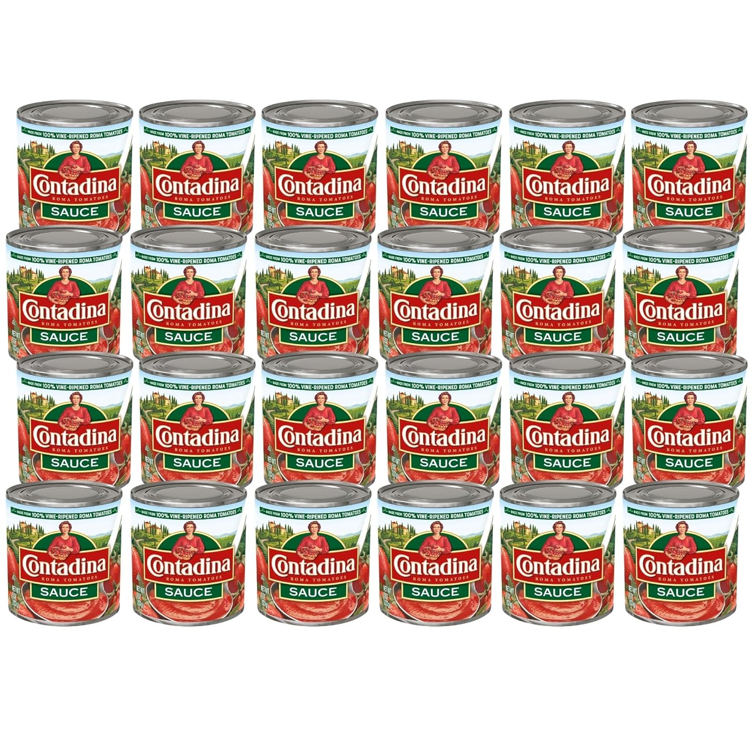 Contadina Tomato Salsa, 8 oz Pack de 24 Cans