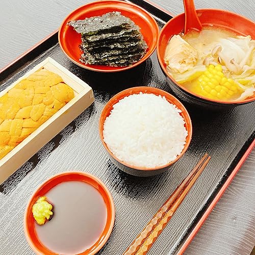 Miniatura 3 de JapanBargain s-4126japonés de plástico bandeja para servir, 18" L, Large