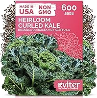 Vista 35 de KVITER 75 semillas de cucamelón para plantar (Melothria Scabra) – Semillas de pepinillo agrio mexicano, pepino de pepinillo, mini sandía mexicana