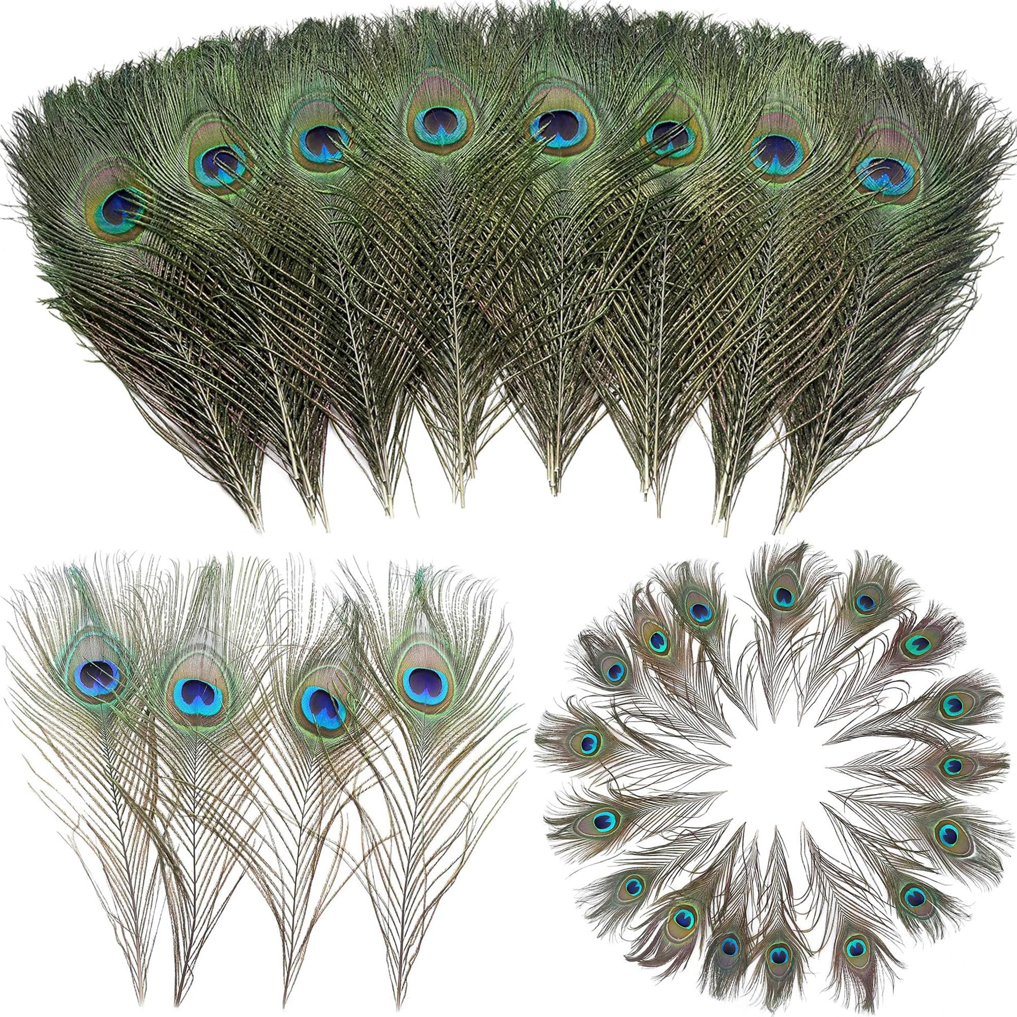 laeeyin 20 piume di pavone naturali, 25 – 30 cm, per fai da te, decorazioni con piume per orecchini fai da te, matrimoni, acchiappasogni, piume copricapo, artigianato scolastico