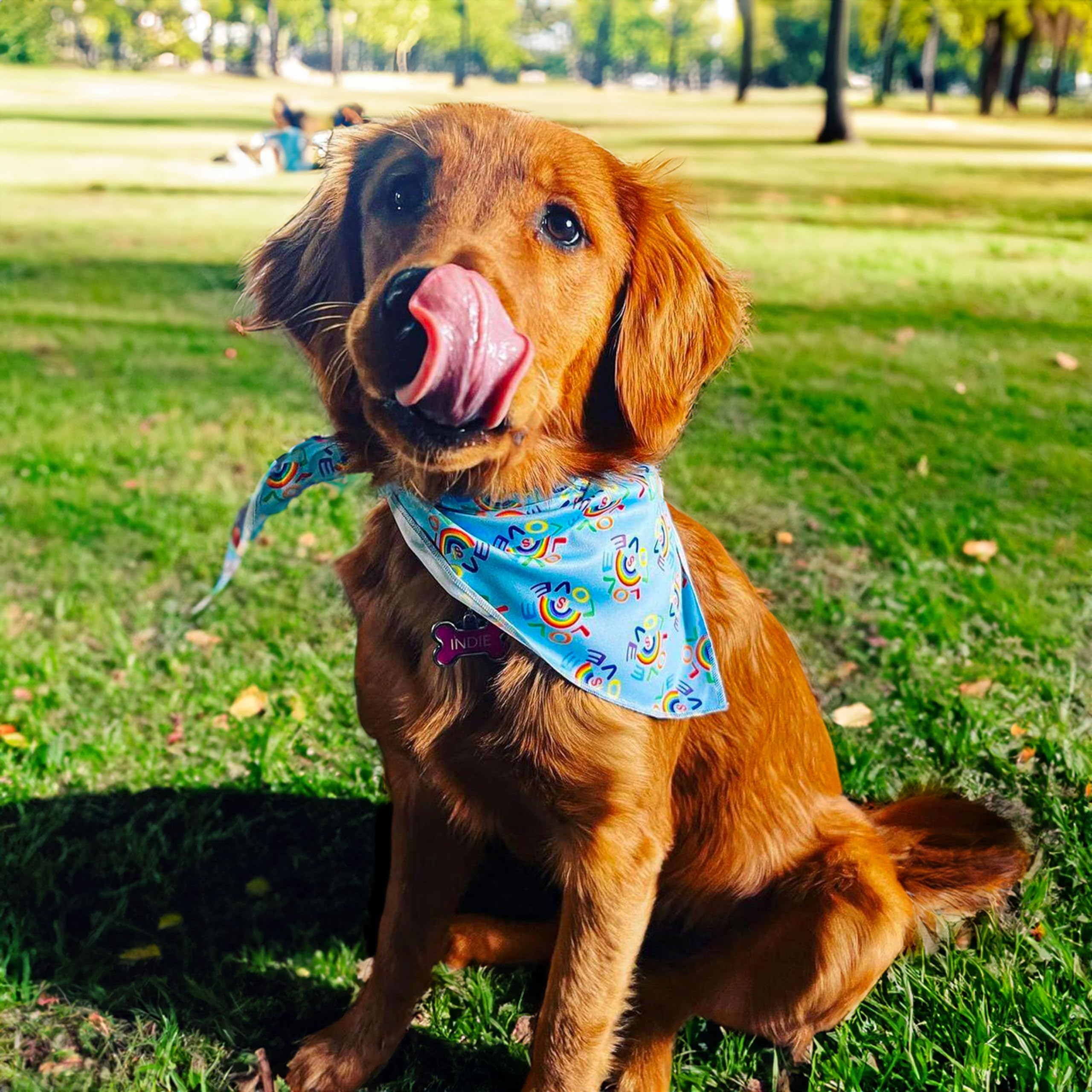 Pride Hundehalstuch 2er Pack – Regenbogen-Design, Für Mittelgroße Und Große Hunde