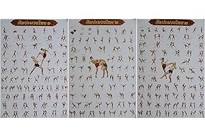Soljo Set of 3 Muay Thai Training Moves Boxing Sport Poster