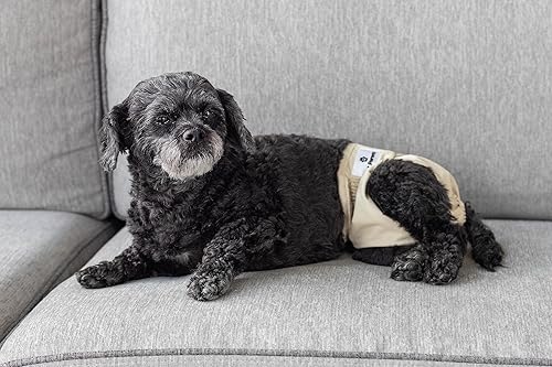 Miniatura 9 de Pet Parents Pañales y extensores lavables de alta calidad, (3 unidades) de pañales para perros hembras y machos, pañales para perritos Color abeto,