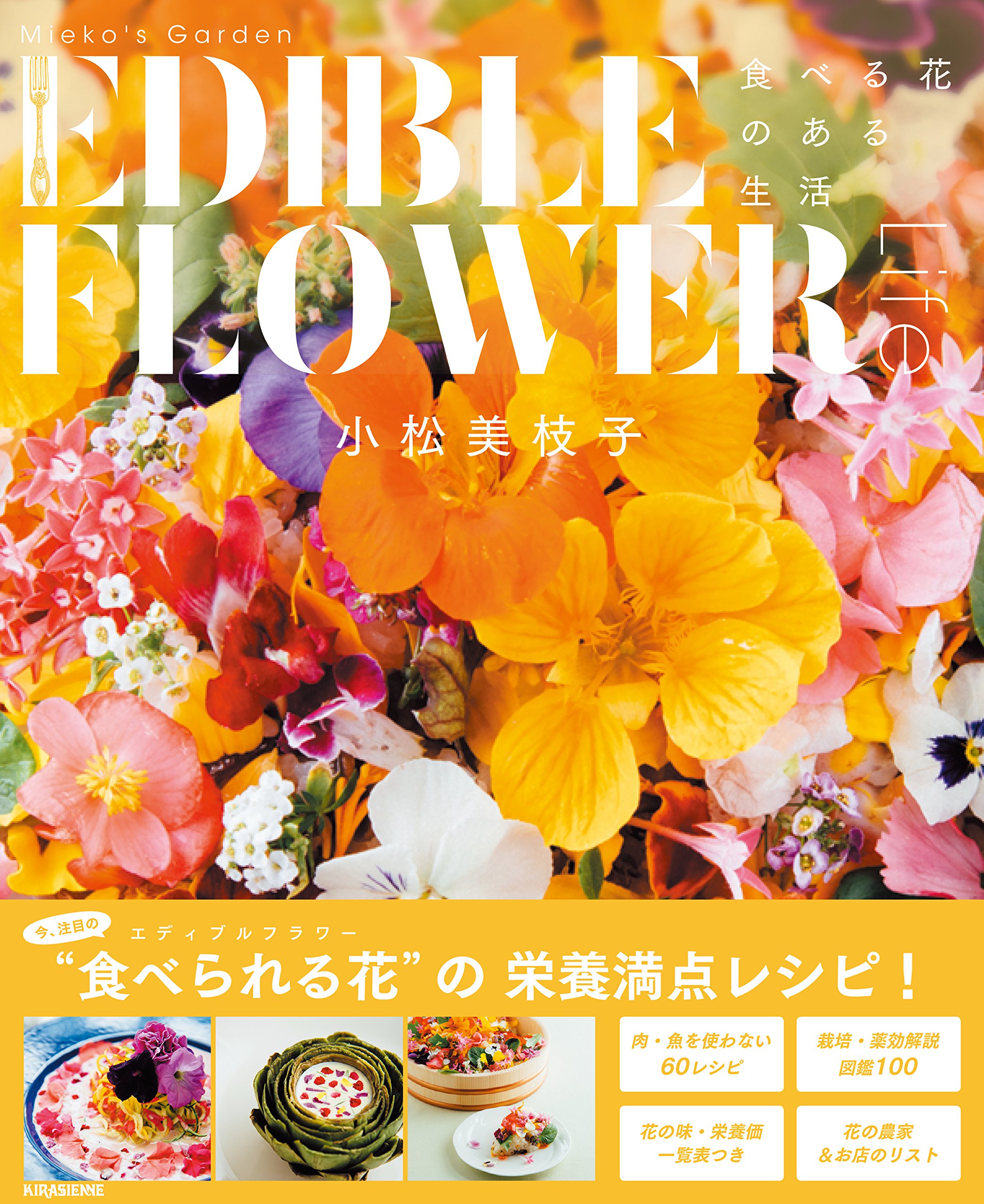 Amazon.co.jp: 小松, 美枝子: 本、バイオグラフィー、最新