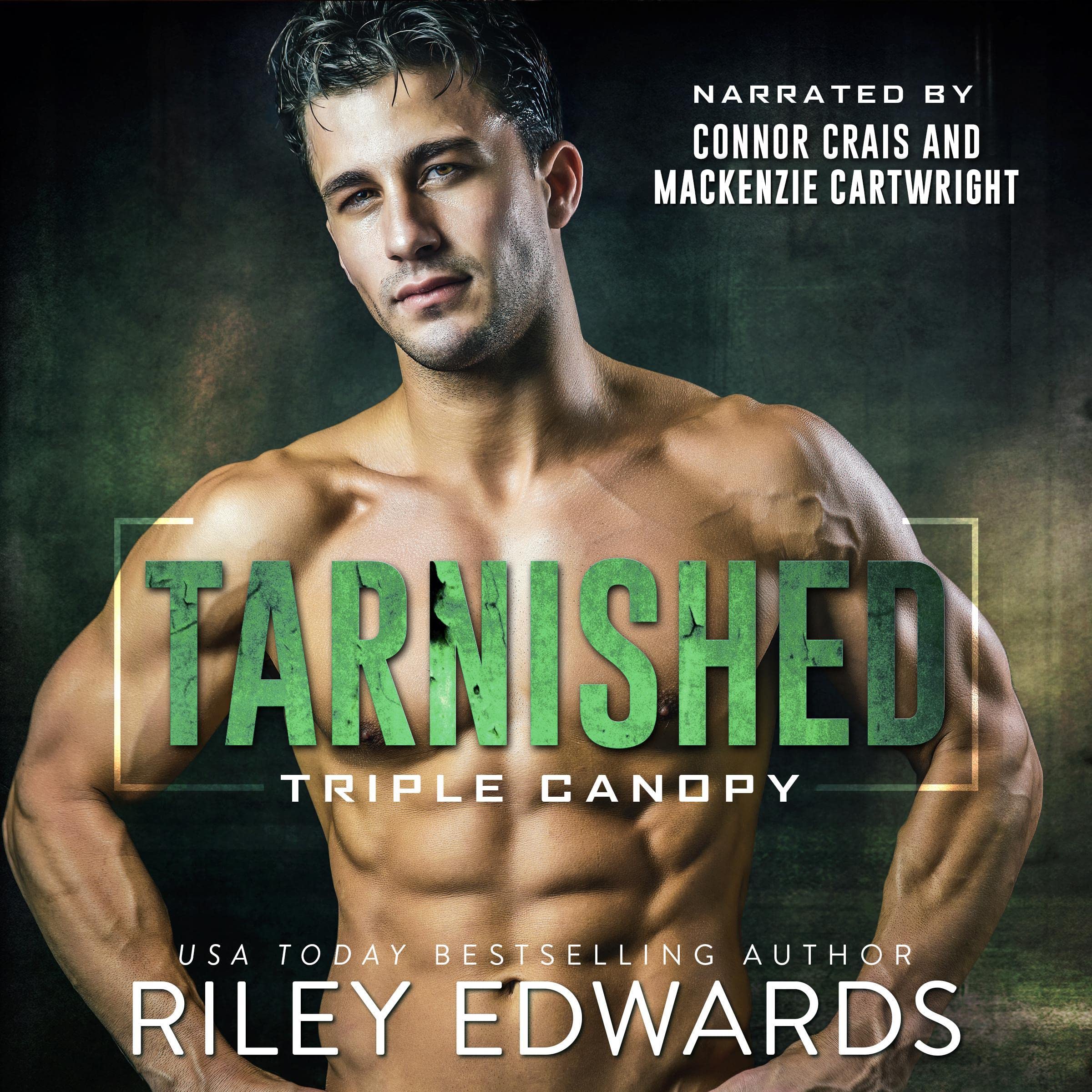 Cover art for Tarnished: Triple Canopy, Book 4