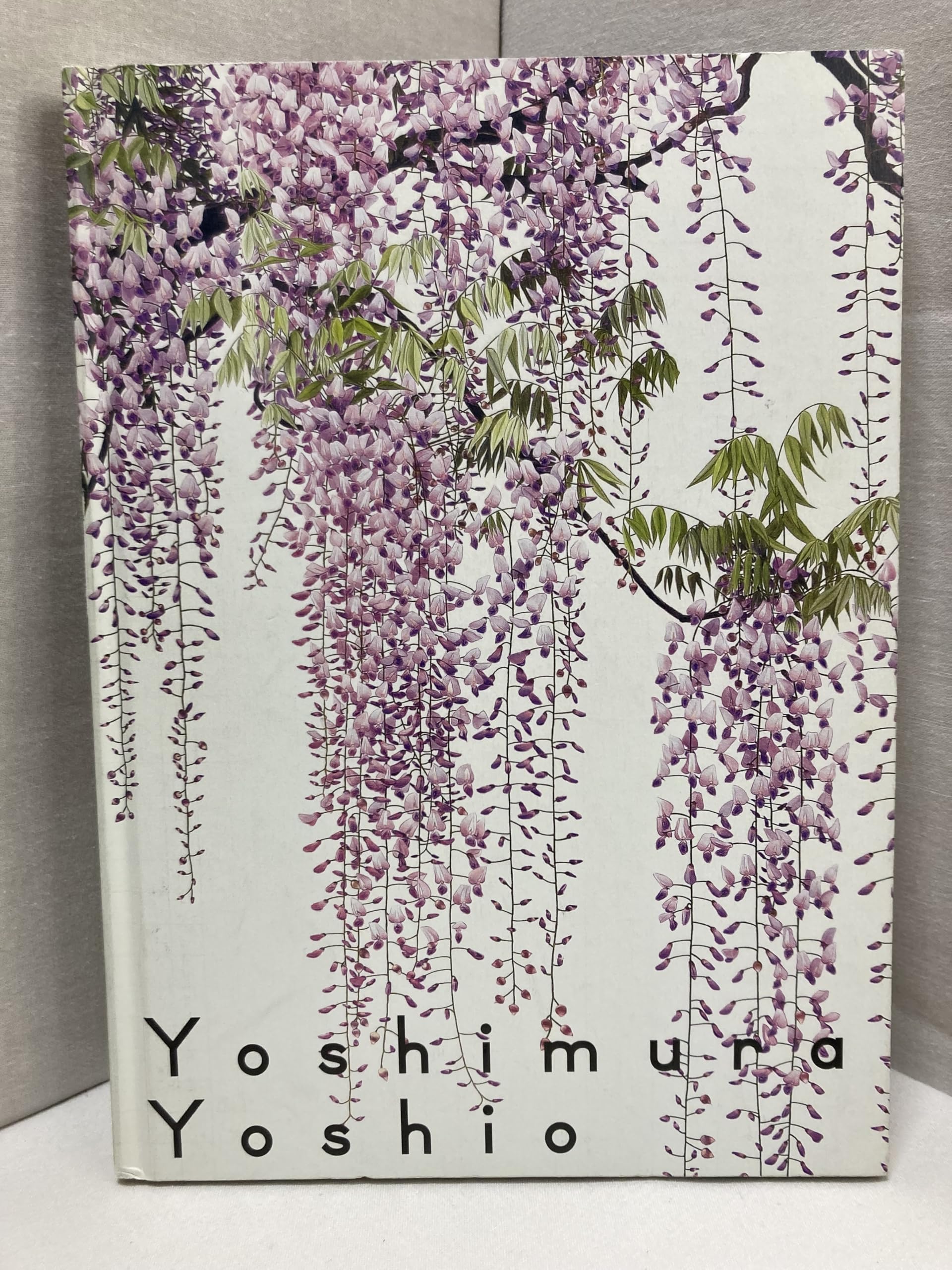 吉村芳生 鉛筆画 超絶技巧を超えて 91KcG-gQ4hL.jpg