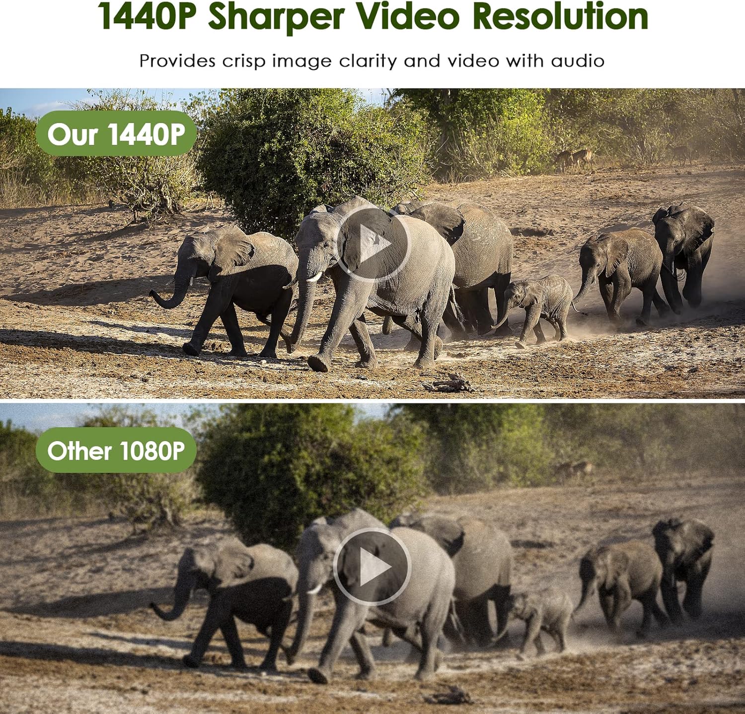 Comparison image showing a 1440P video frame of elephants above a less clear 1080P video frame.