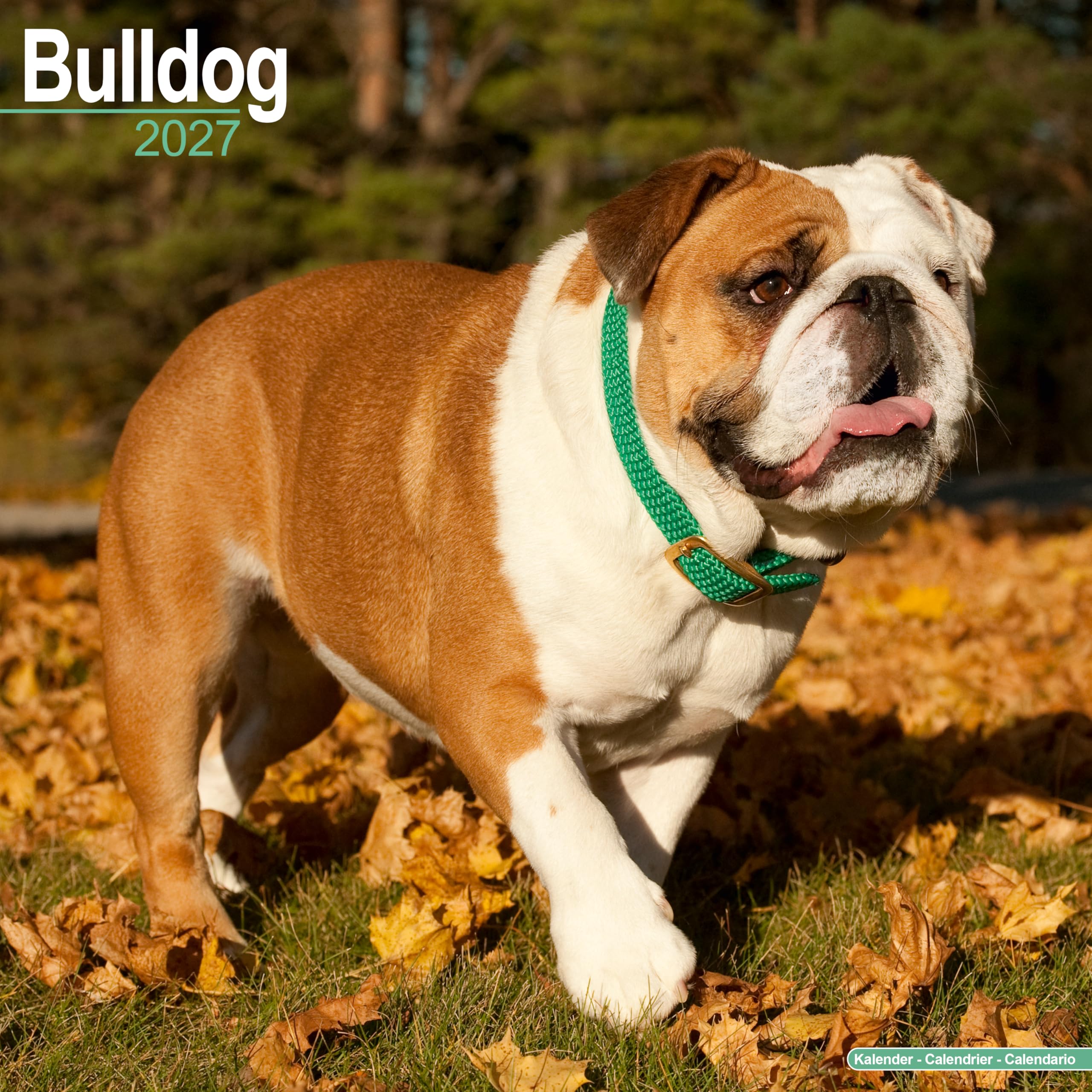 Bulldog Calendar 2027
