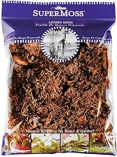 SuperMoss (23534 Branched Lichen Parmelia – Natural Preserved Lichen Branches for Floral Arrangements, Home Decor, and Terrariums, 175 cu. in., Orange
