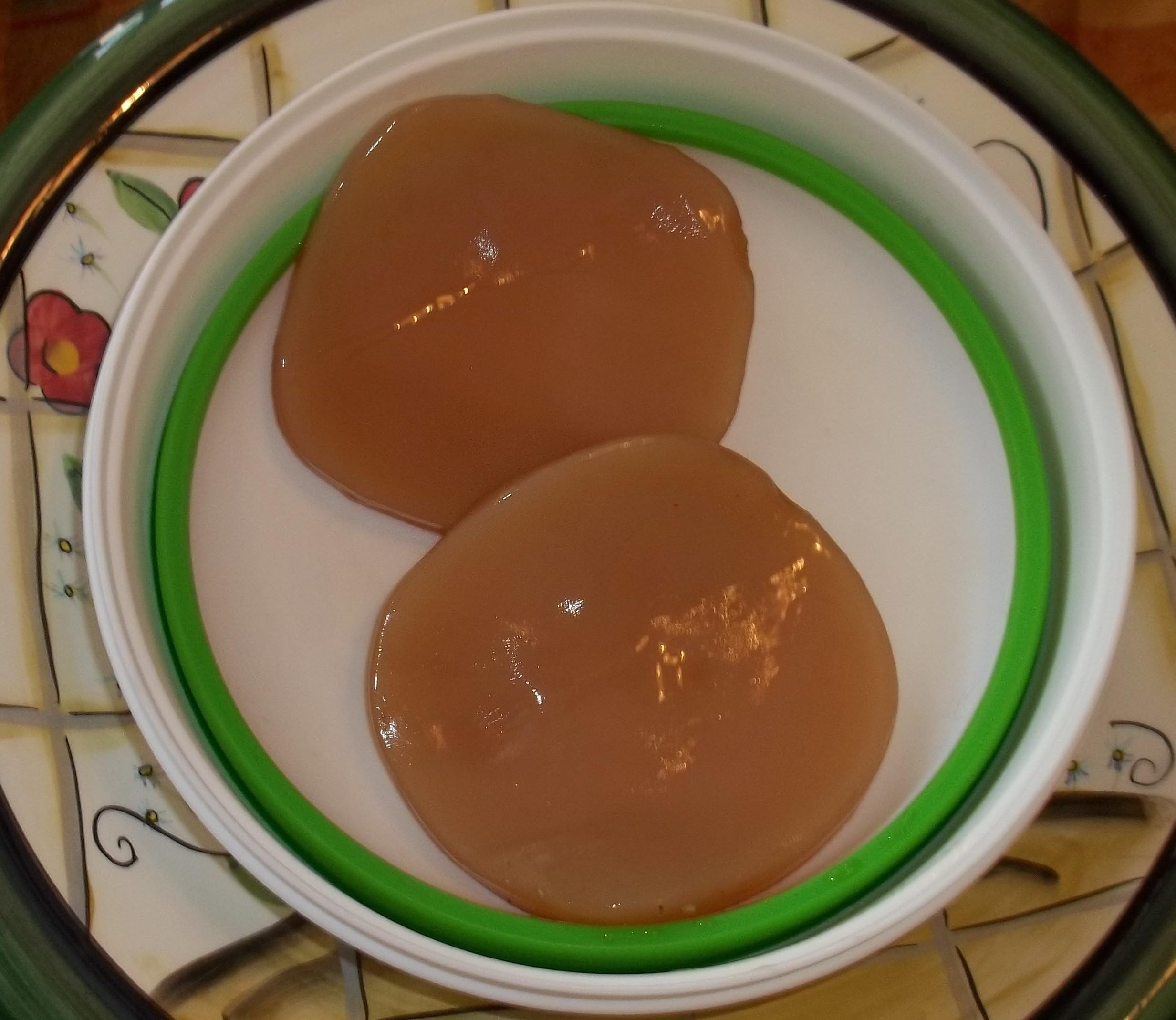 Organic Kombucha Mushroom / Scoby 2 Pack