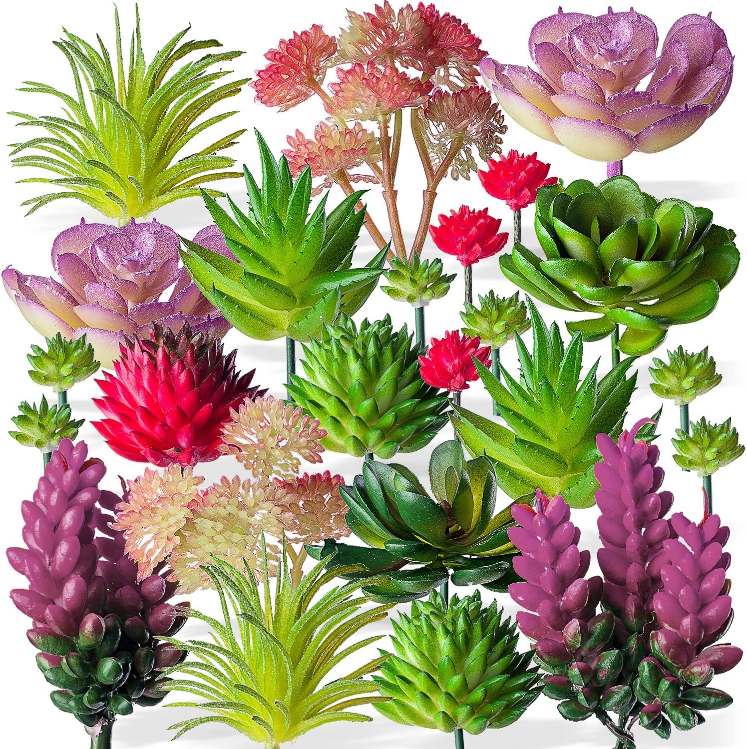 24 Mini Artificial Succulent Plants Unpotted : Fake Succulents Picks Realistic Plastic Cactus Stems for Terrarium Bulk Small Faux Assorted Arrangements Flocked Greenery