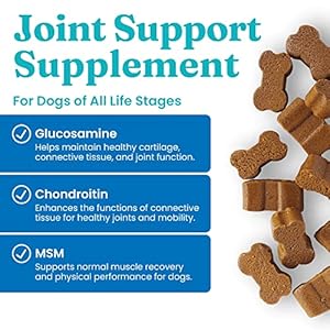 Solid Gold Glucosamine for Dogs Hip and Joint Supplement – Glucosamine Chondroitin MSM for Dog Pain Relief – Leaps & Hounds Chews for Dog Arthritis Pain Relief & Overall Mobility – 120 Soft Chews