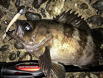 Amazon | アブガルシア(Abu Garcia) エラディケーターリアルフィネス