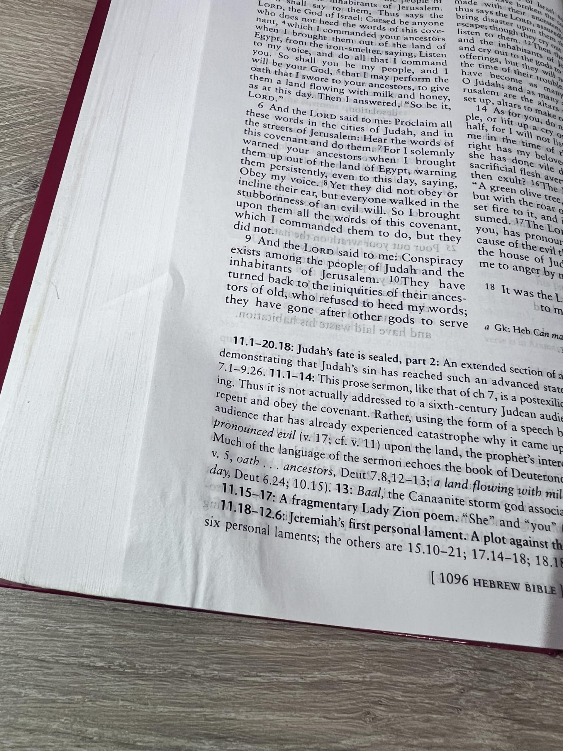 The New Oxford Annotated Bible with the Apocrypha Augmented Third Edition New Revised Standard Version product thumbnail 5