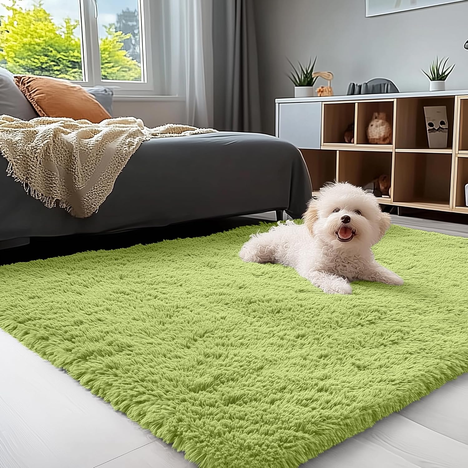 Amazon.com: OLANLY 3x5 Machine Washable Small Bedside Rug, Soft Fluffy ...