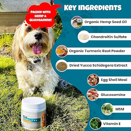 Miniatura 3 de PawMedica Glucosamina para perros, masticables para el cuidado de la cadera y las articulaciones para perros, apoyo articular para los suplementos