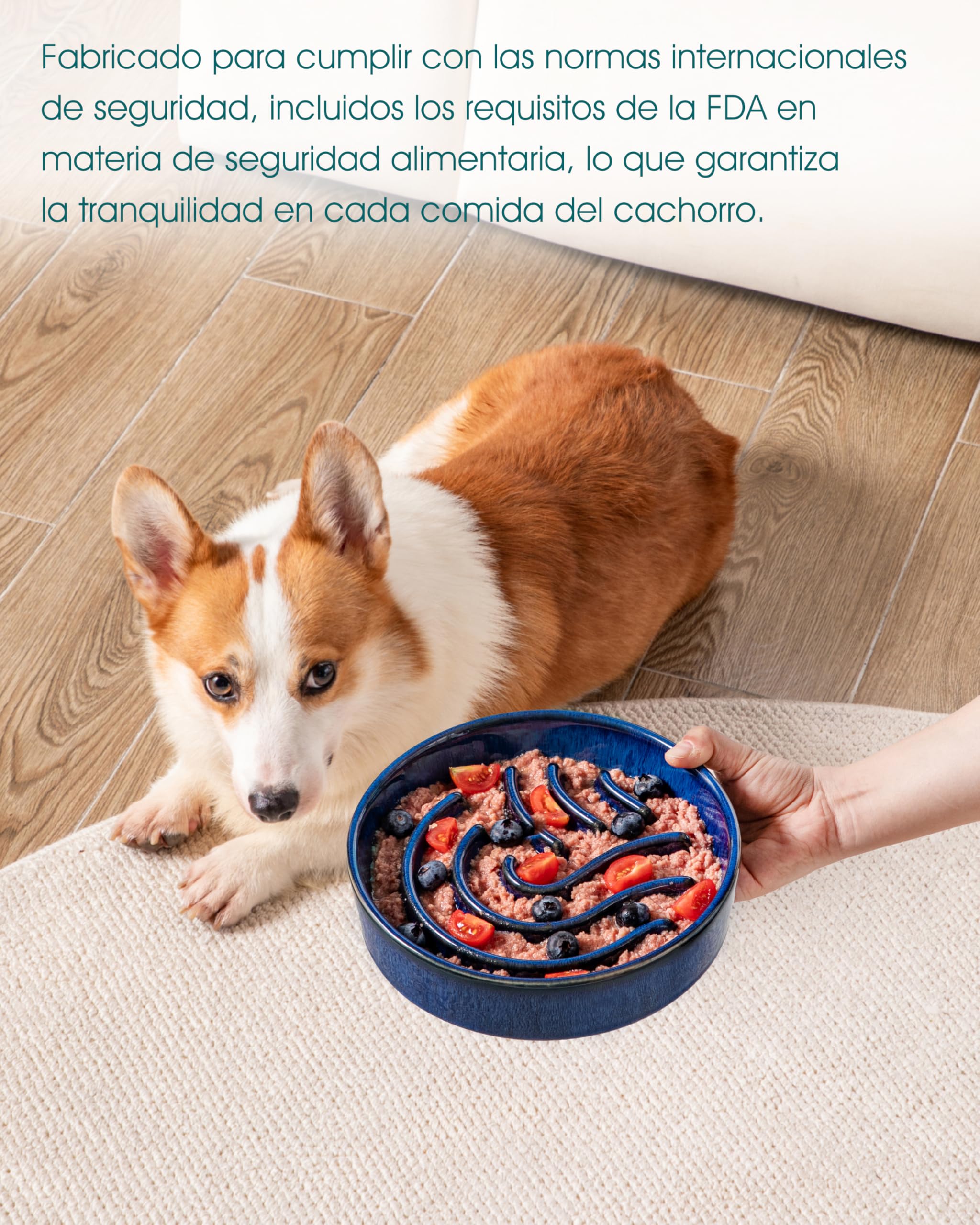 vancasso Comedero Perro Antivoracidad, 960ml Comedero Perro para Perros Pequeños y Medianos, Favorece una Digestión Saludable, Azul