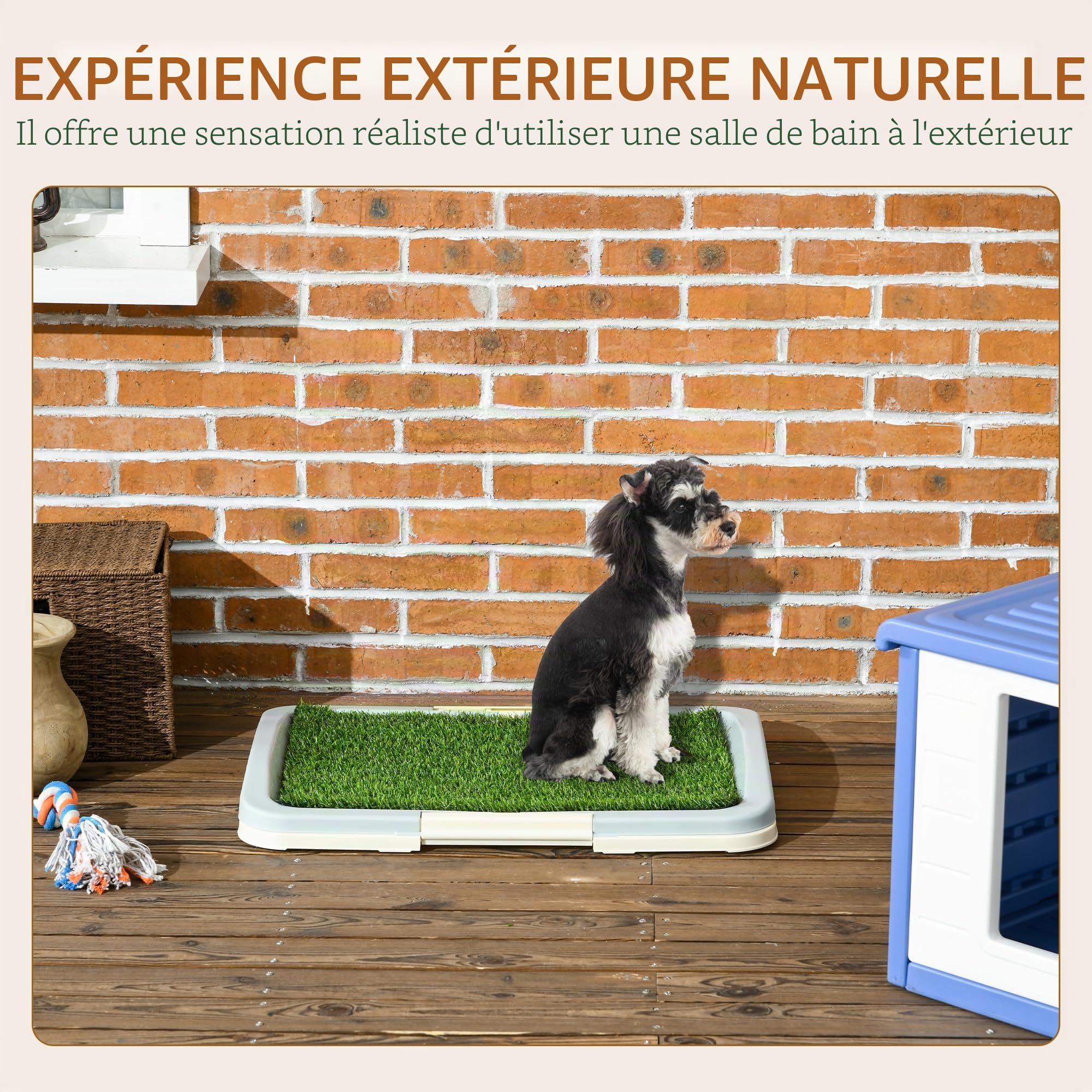 PawHut Toilettes d'intérieur pour Chien avec Gazon Artificiel, Panneau grillagé, Plateau, 63 x 48,5 cm
