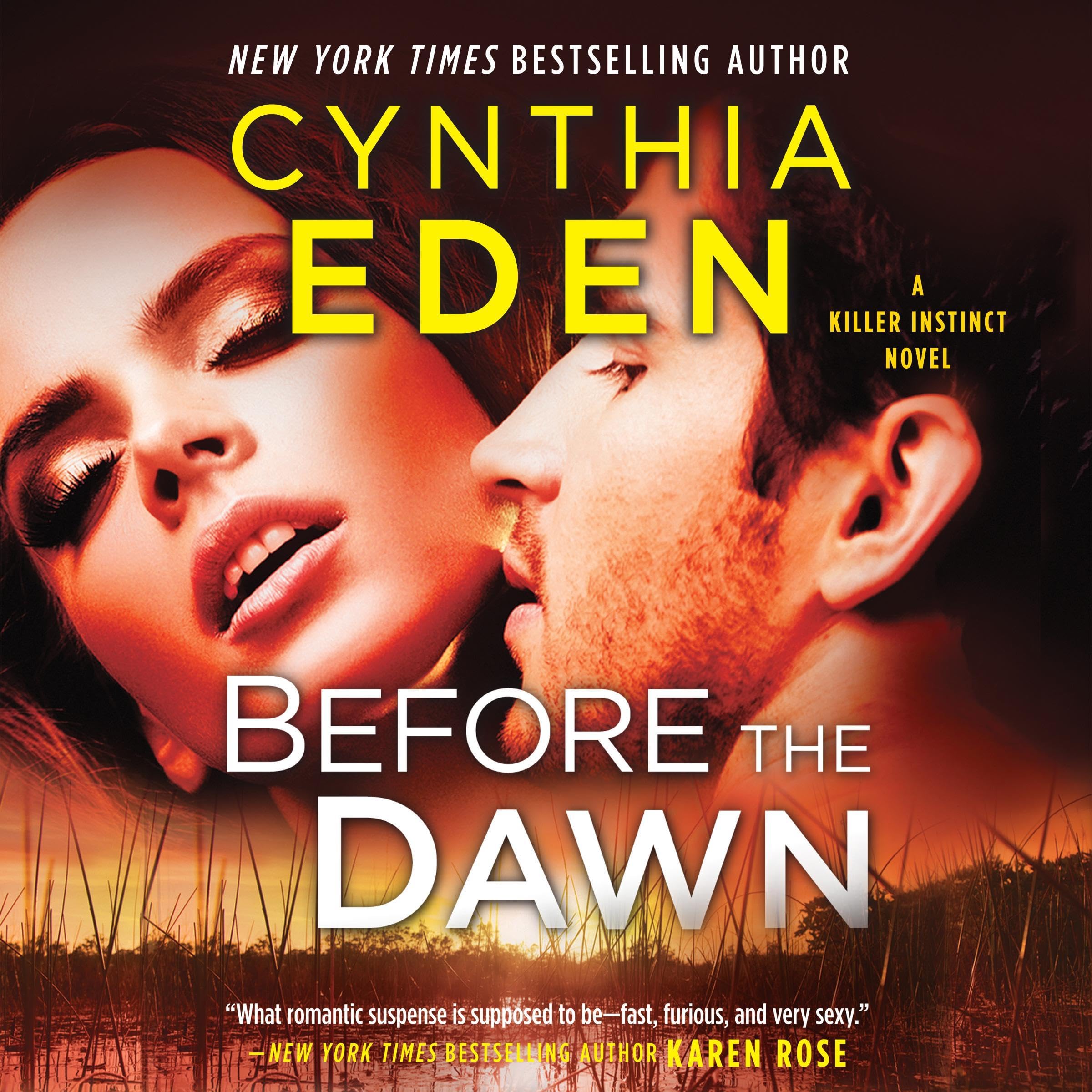 Cover art for Before the Dawn