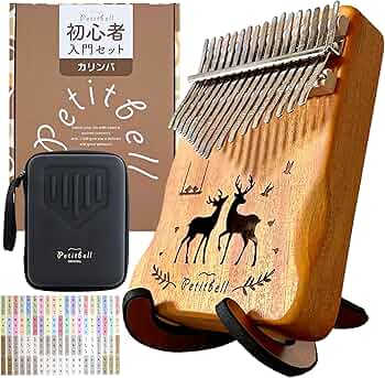 91Kg2M49L7L._AC_UF350,