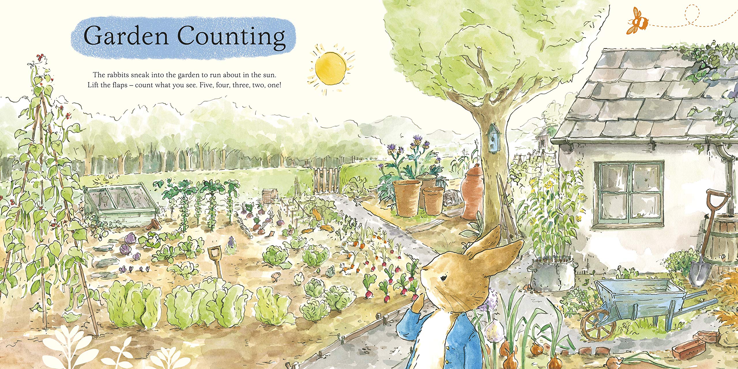 What Can You See Peter?: Very Big Lift the Flap Book