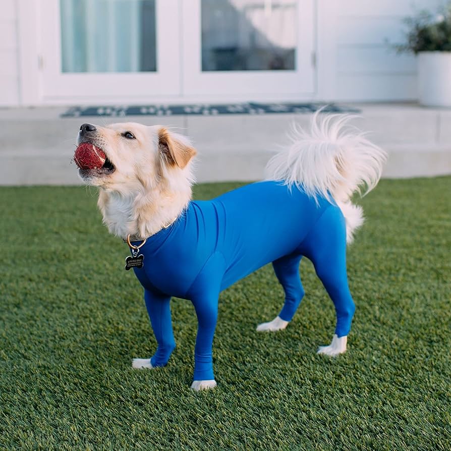 Dog Onesie Shed Defender Dog Recovery Onesie Post-Surgery Suit
