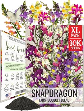 Seed Needs Fairy Bouquet Baby Snapdragon Seeds to Plant Flowers XL Pack