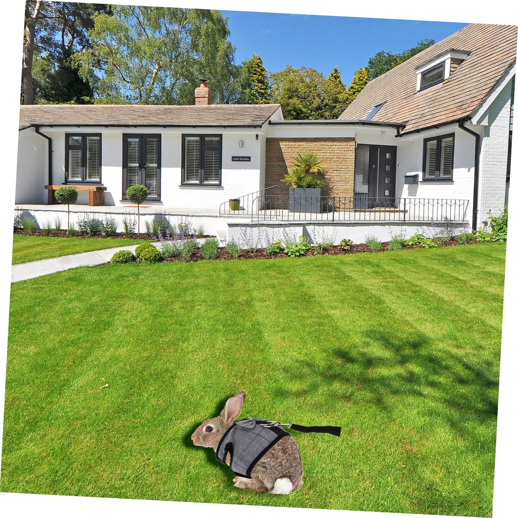 Totority 1Set Gentleman Style Rabbit Vest Harness and Leash Kit Animal Decorative Supply for Outdoor Activities Lightweight and Breathable Suitable for Pet Rabbits Comfortable