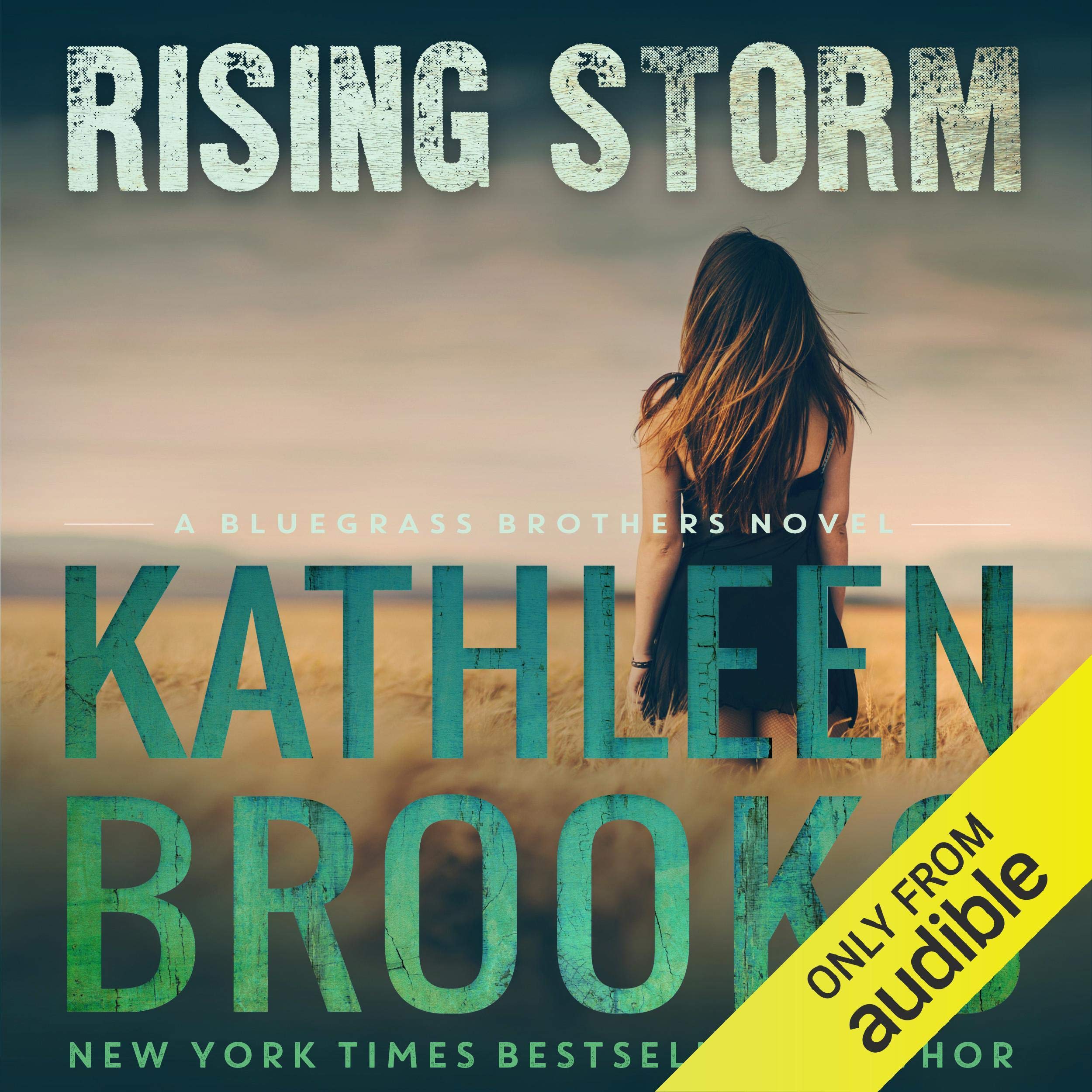 Cover art for Rising Storm