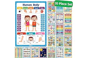 Learning Wall Posters for Toddlers Ages 1-3: 20 Essential Preschool Posters for Early Childhood Education